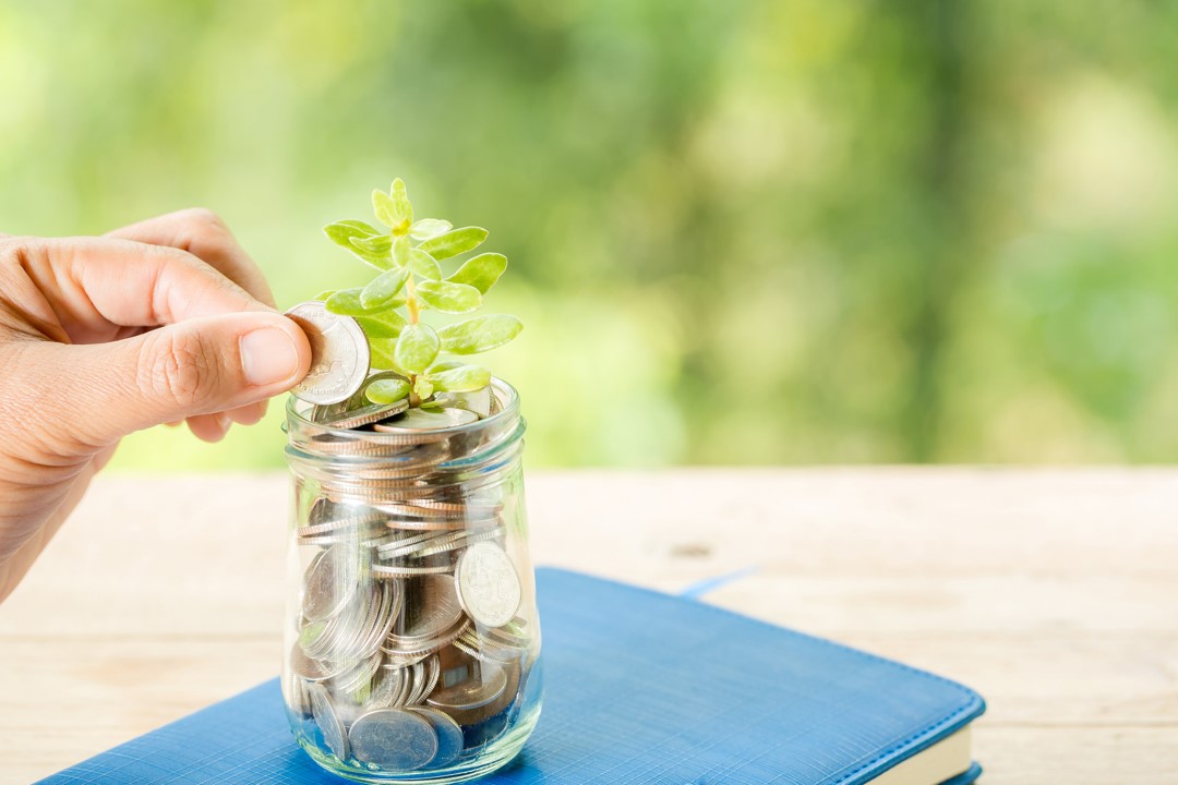 Investments Coins being added to jam jar with plant growing out